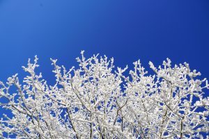 froid-bleu-blanc-neige-inspiration-nature-LDM-Createur-fr