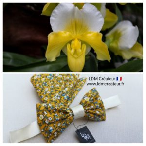nœud-papillon-jaune-blanc-bleu-liberty-mariage-champêtre-Nice-ldmcreateur-LDM-créateur