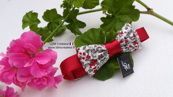 nœud-papillon-enfant-garçon-ado-bébé-rouge-gris-blanc-liberty-champêtre-mariage-Alain-ldmcreateur-LDM-créateur