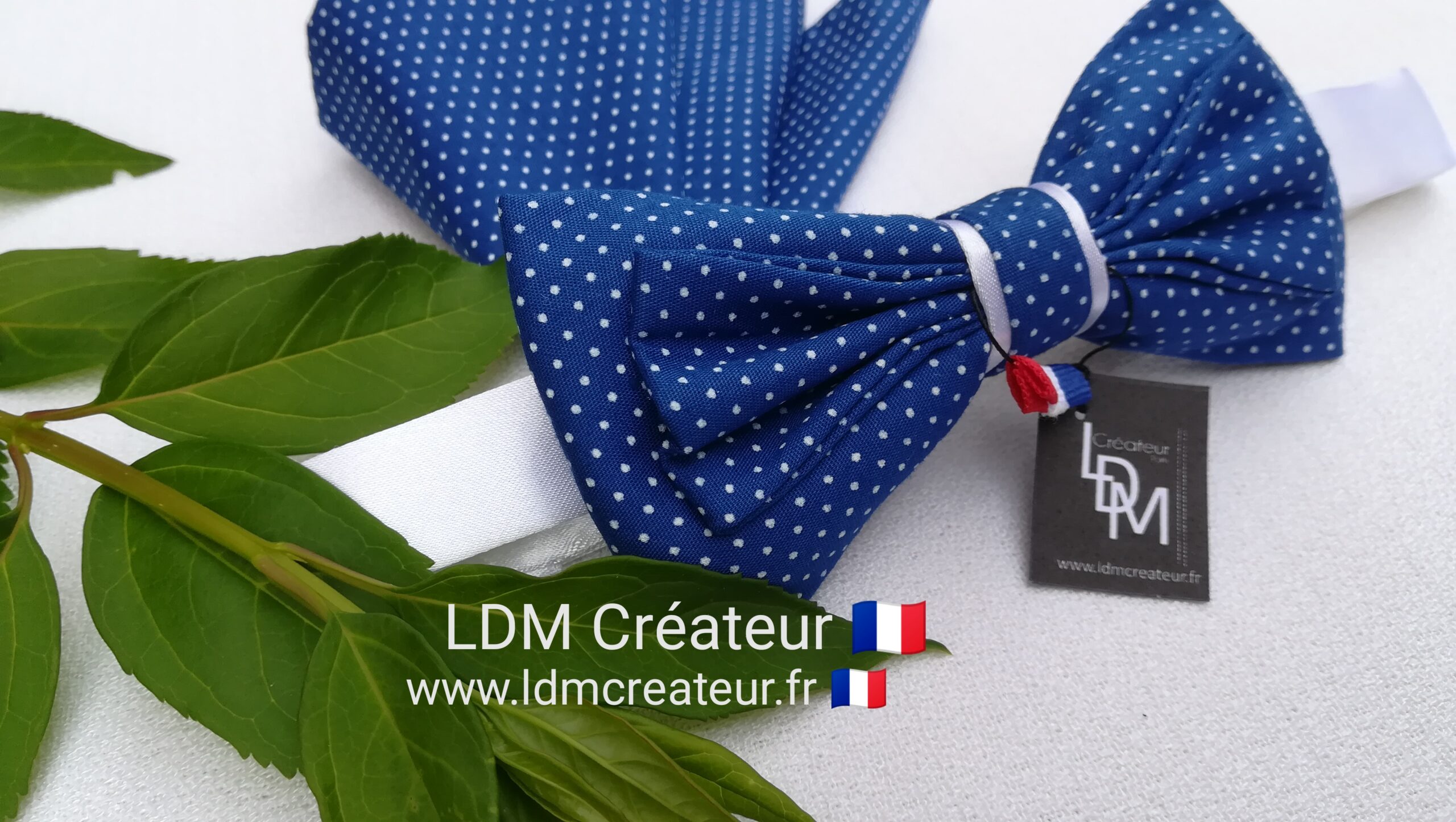 Noeud-papillon-bleu-dur-blanc-pois-mariage-cérémonie-Lourdes-LDM-Créateur