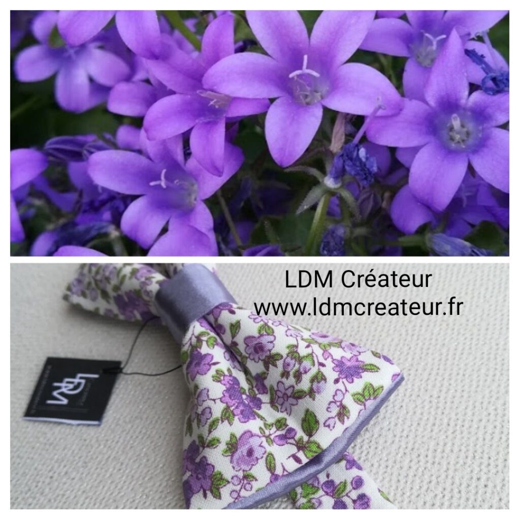 Noeud-papillon-homme-liberty-fleuri-parme-original-lilas-violet-mariage-soirée-cortège-costume-Chartres-LDM-Créateur