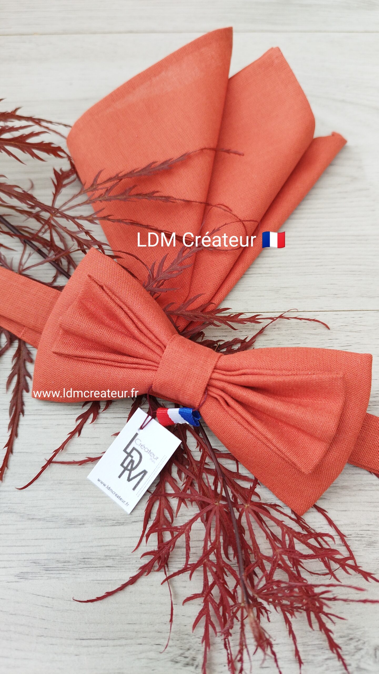 Noeud-papillon-terracotta-uni-brique-corail-rose-orange-homme-invité-mariage-cortège-Havre-LDM-Créateur