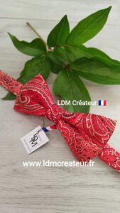 Noeud-papillon-rouge-classique-homme-mariage-cérémonie-costume-Loiret-LDM-Créateur